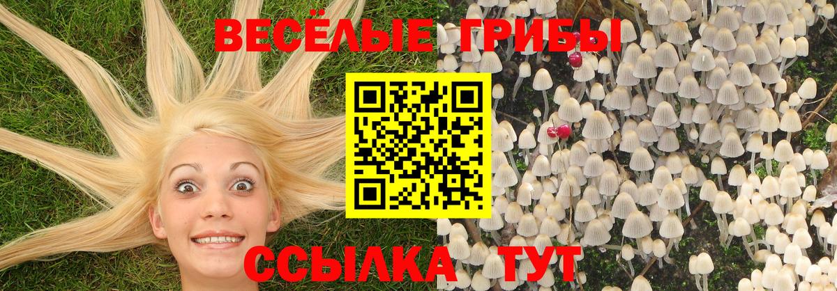 Галлюциногенные грибы ЛСД Аксай